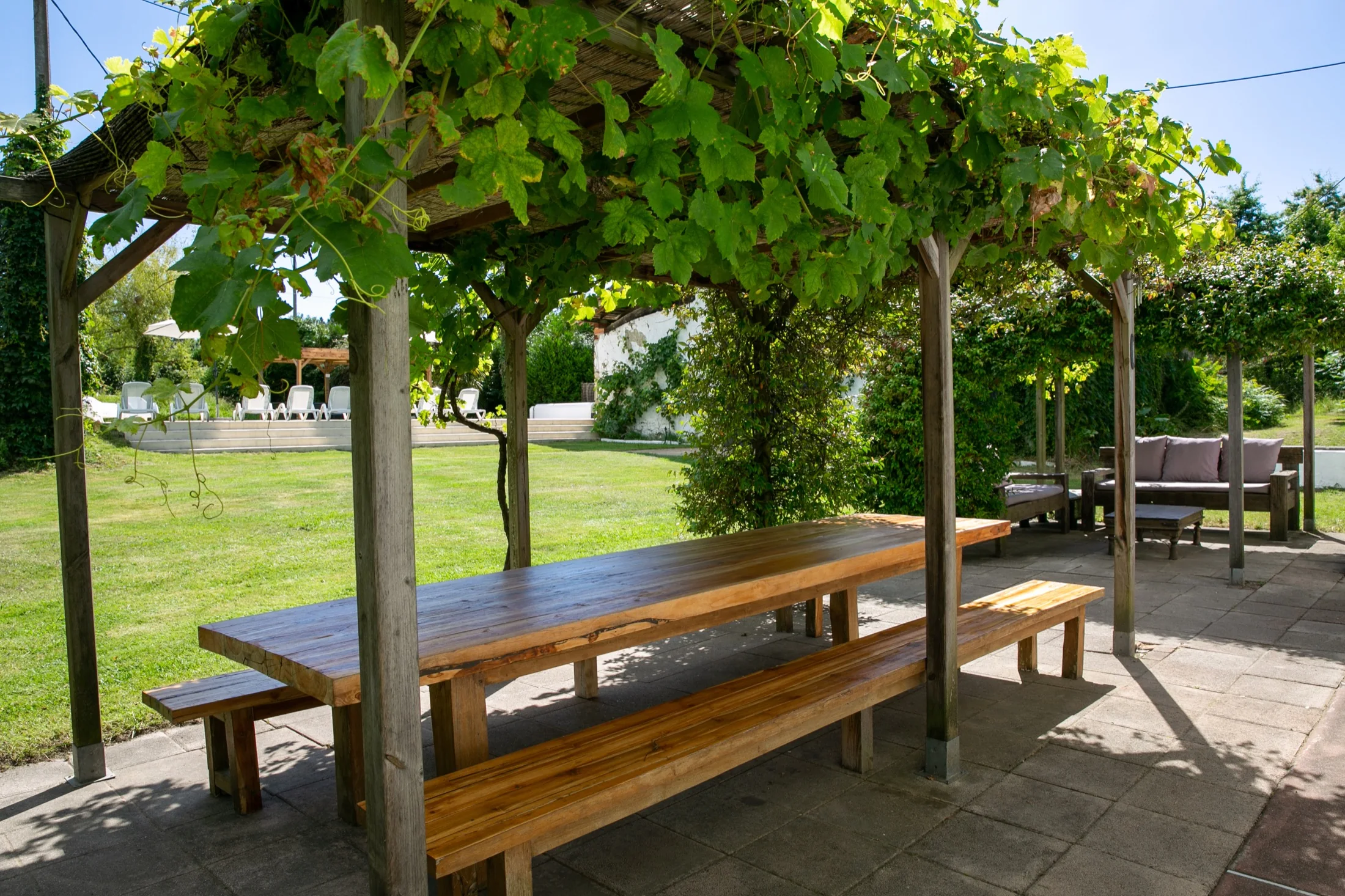 La grande table sous la vigne